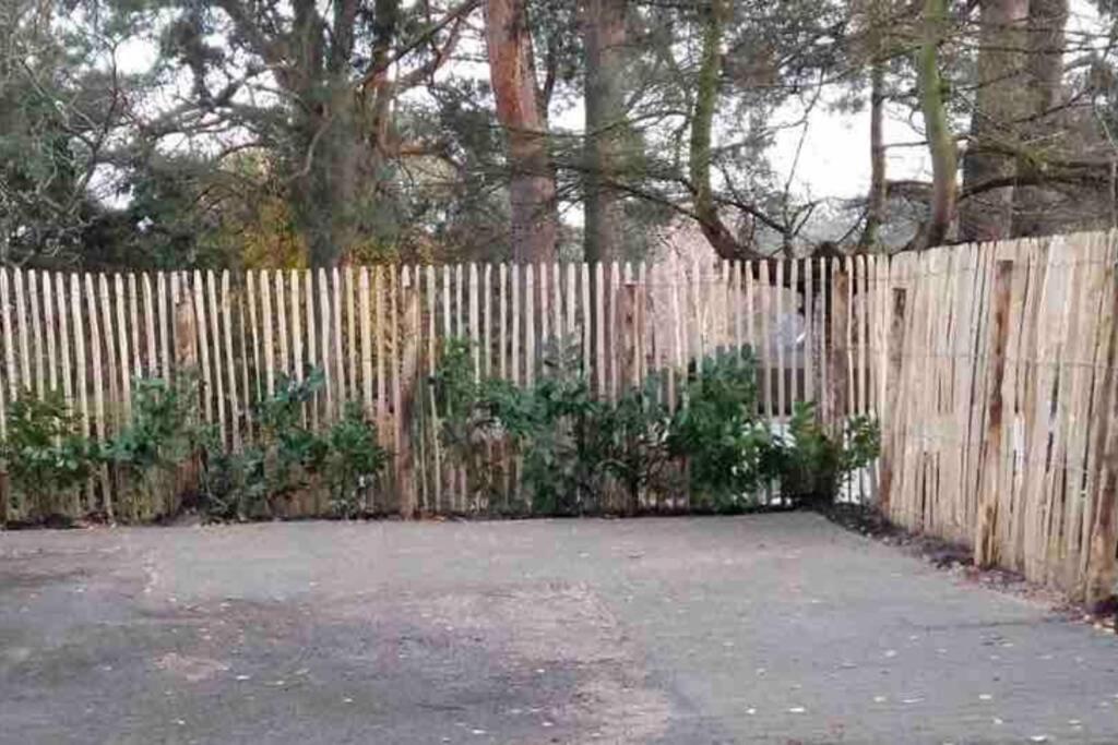 Ferienwohnung Green Garden Berlin Dış mekan fotoğraf