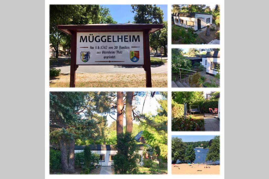 Ferienwohnung Green Garden Berlin Dış mekan fotoğraf